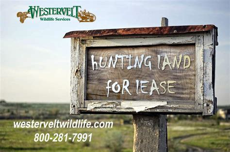 HLRBO has thousands of hunters looking for their next <b>hunting</b> adventure. . Florida hunting land for lease by owner